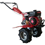 WM500 (B&S)