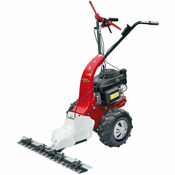 MINIEFFE-502 RM B&S 625EXi Series